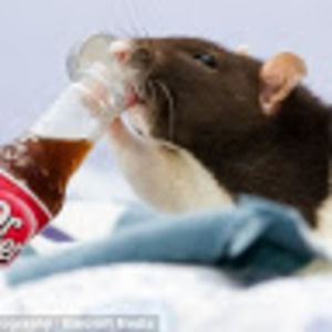 Meet your Posher, Kaitlyn